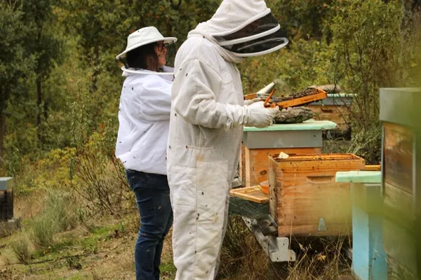 O mel da próxima primavera começa agora