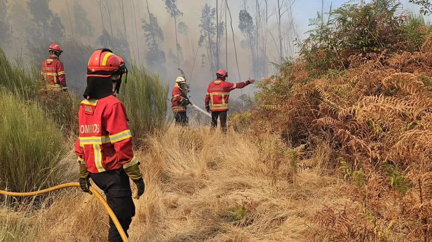 A maioria dos incêndios investigados “tem origem negligente”