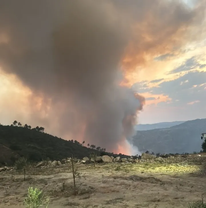 Incêndio começou em Cabeça Boa, no concelho de Torre de Moncorvo