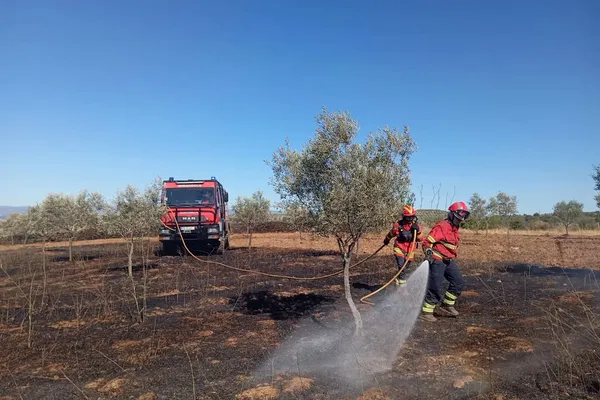 Uma das áreas que mais preocupa as autoridades é a gestão de combustível em terrenos particulares