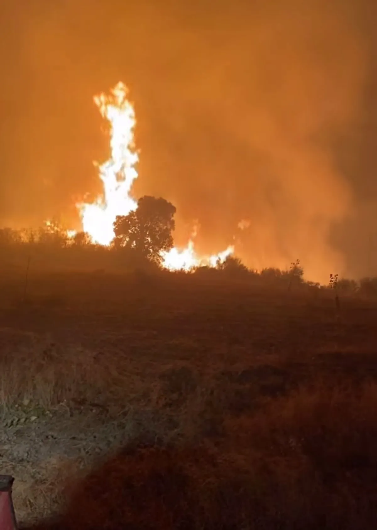 Incêndio que chegou a Mirandela e a Vinhais tem 950 bombeiros no combate às chamas