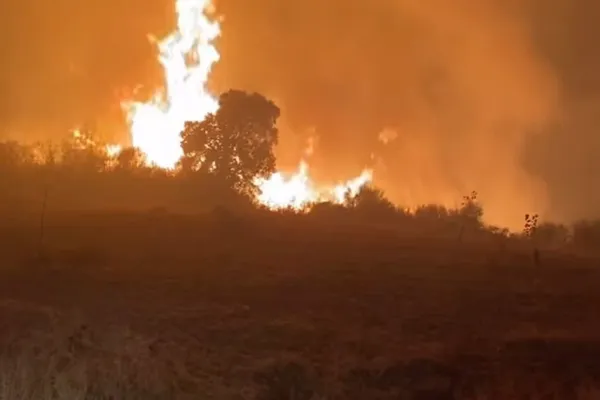 Incêndio que chegou a Mirandela e a Vinhais tem 950 bombeiros no combate às chamas
