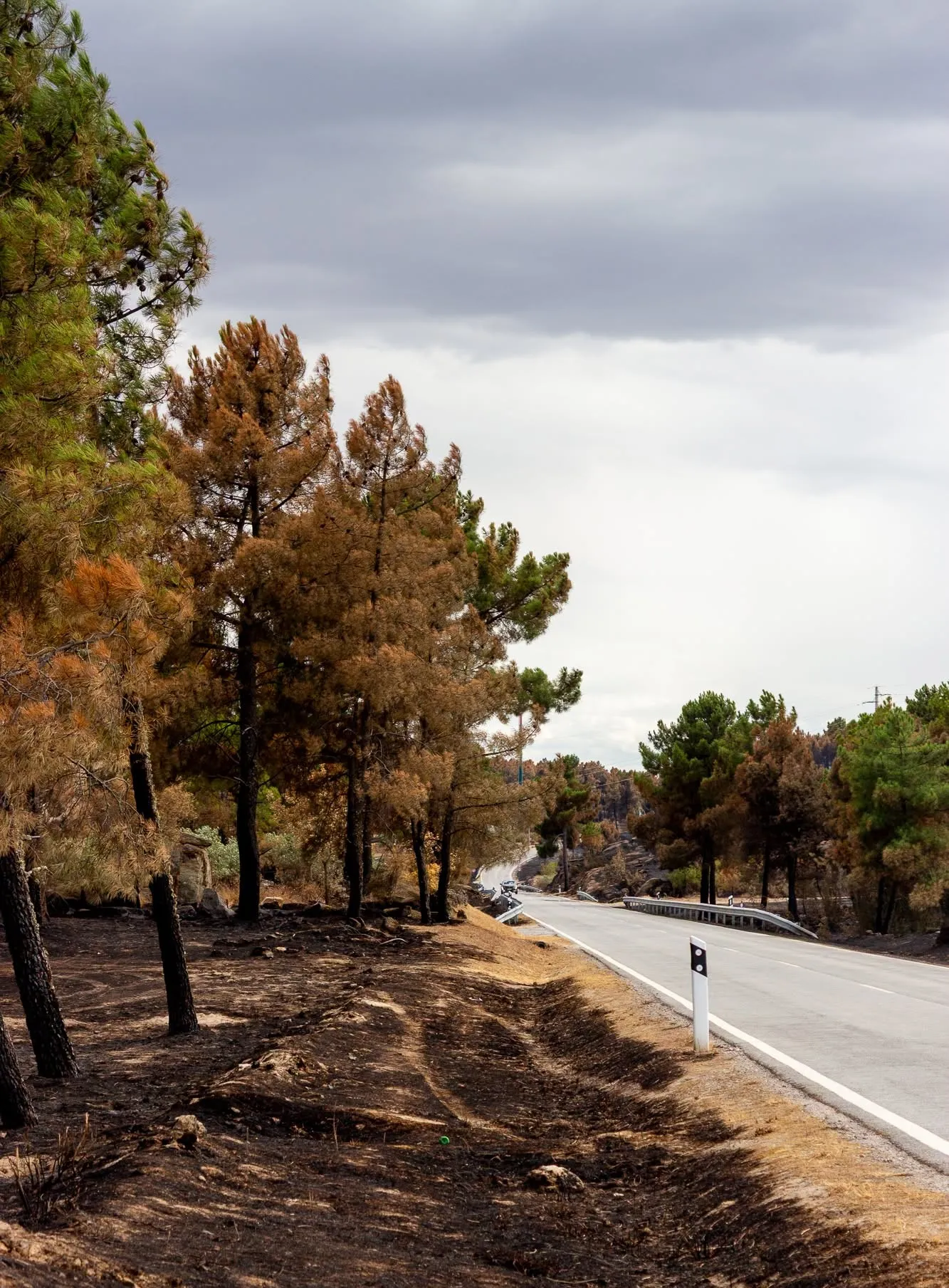 Perante a deteção de uma coluna de fumo ou de um eventual início de incêndio, a recomendação deixada aos cidadãos é clara, comunicar rapidamente a situação
