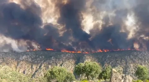 Incêndio em Fermoselle, Zamora continua ativo. Junta de Castela e Leão pediu apoio militar