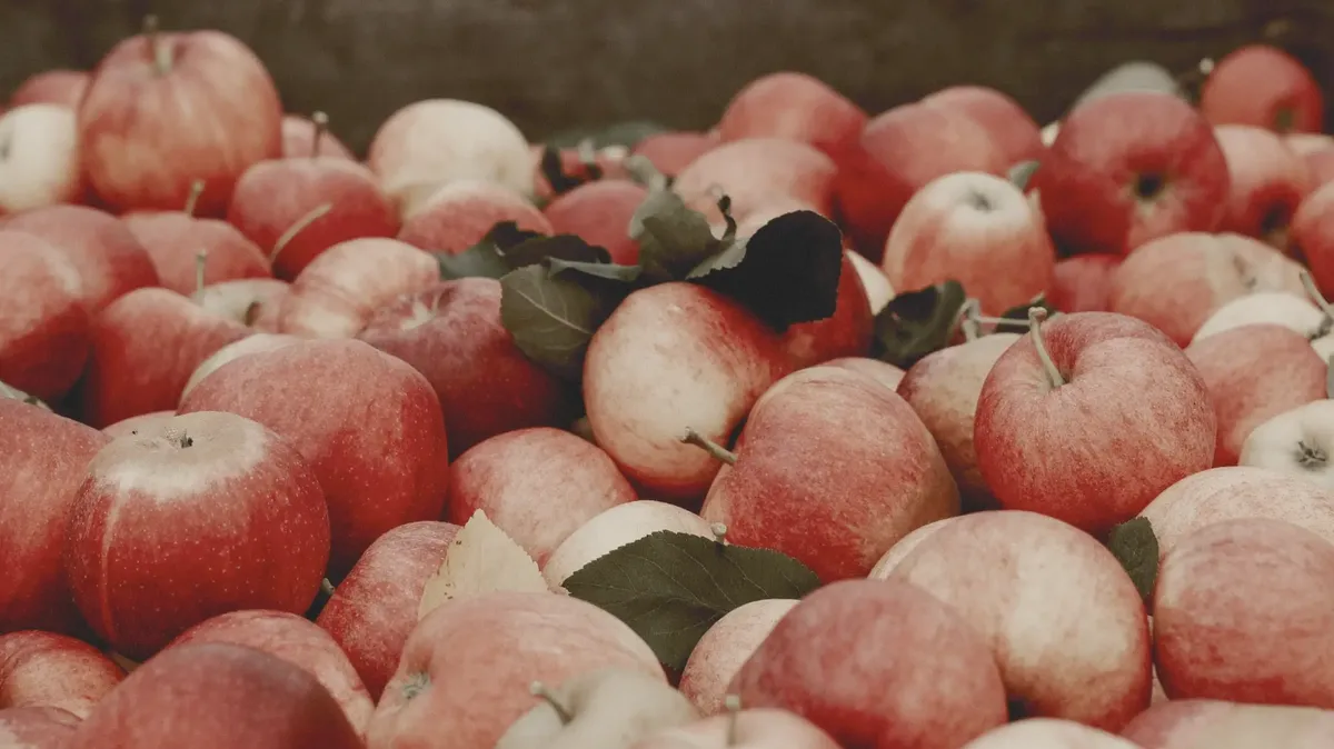 Apfel-, Wein- und Olivenölmesse kehrt von heute bis Sonntag zurück
