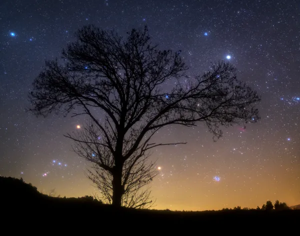 Vale do Tua mantém certificação internacional para observar as estrelas até 2028