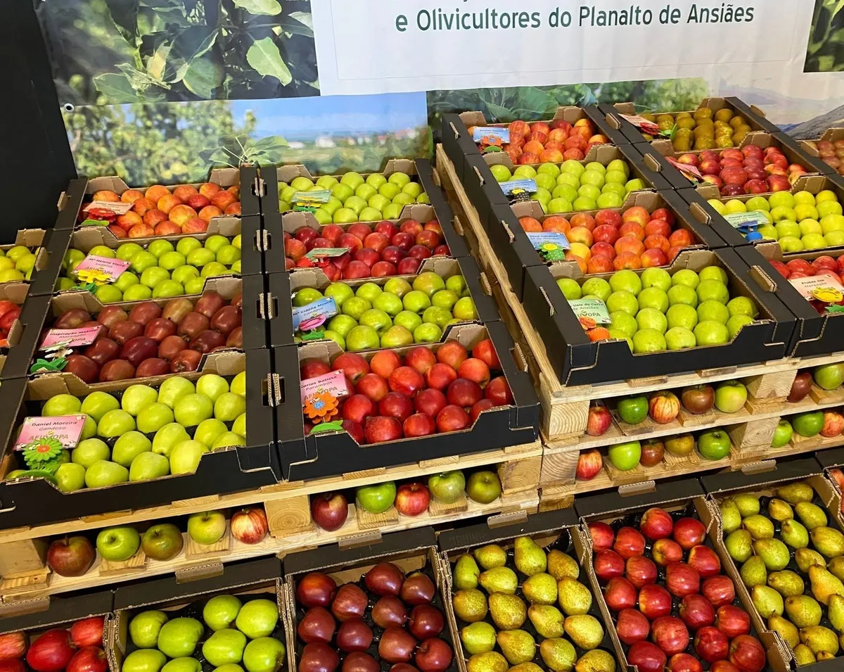 Carrazeda de Ansiães recebe mais uma edição da Feira da Maçã, do Vinho e do Azeite