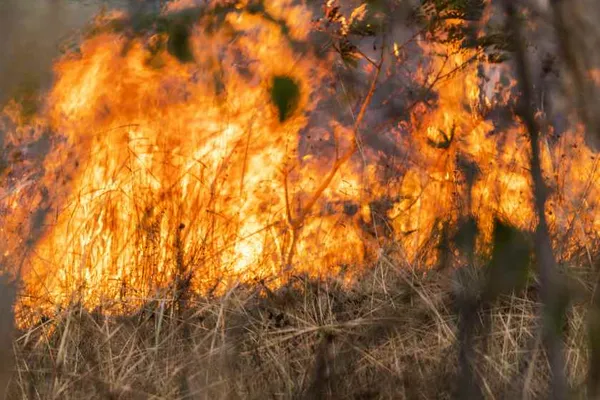 Incêndio de Valpaços  com 80% do perímetro dominado
