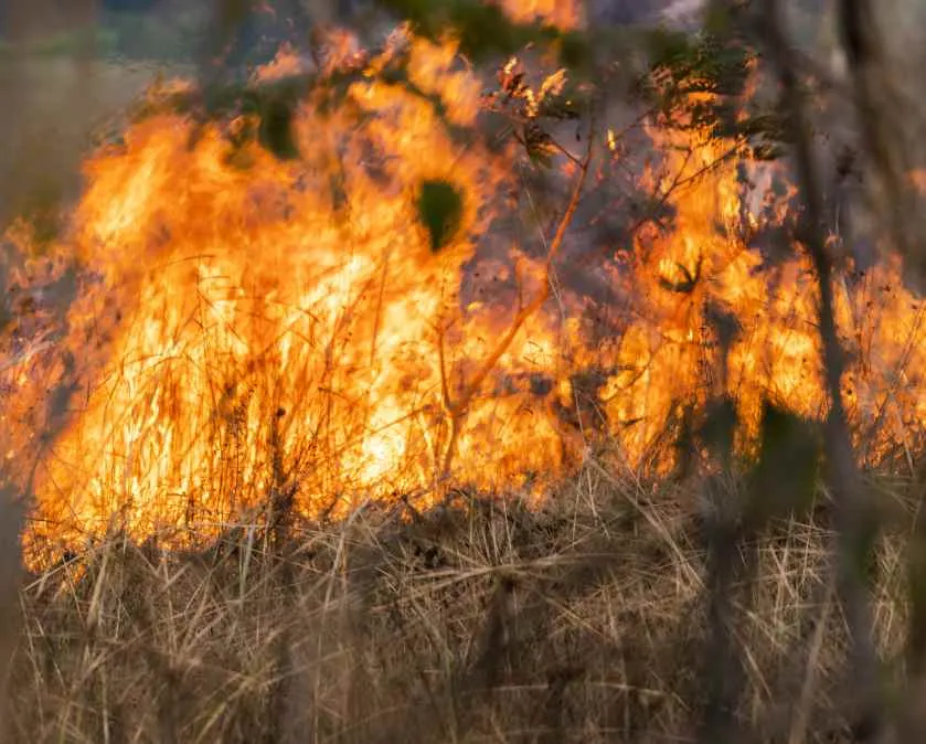 Incêndio de Valpaços  com 80% do perímetro dominado