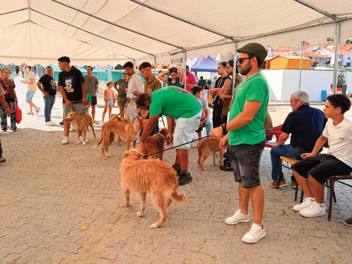 Vila Flor recebeu primeira edição da Flor Rural dedicada às matilhas