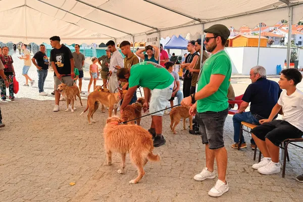 Vila Flor recebeu primeira edição da Flor Rural dedicada às matilhas