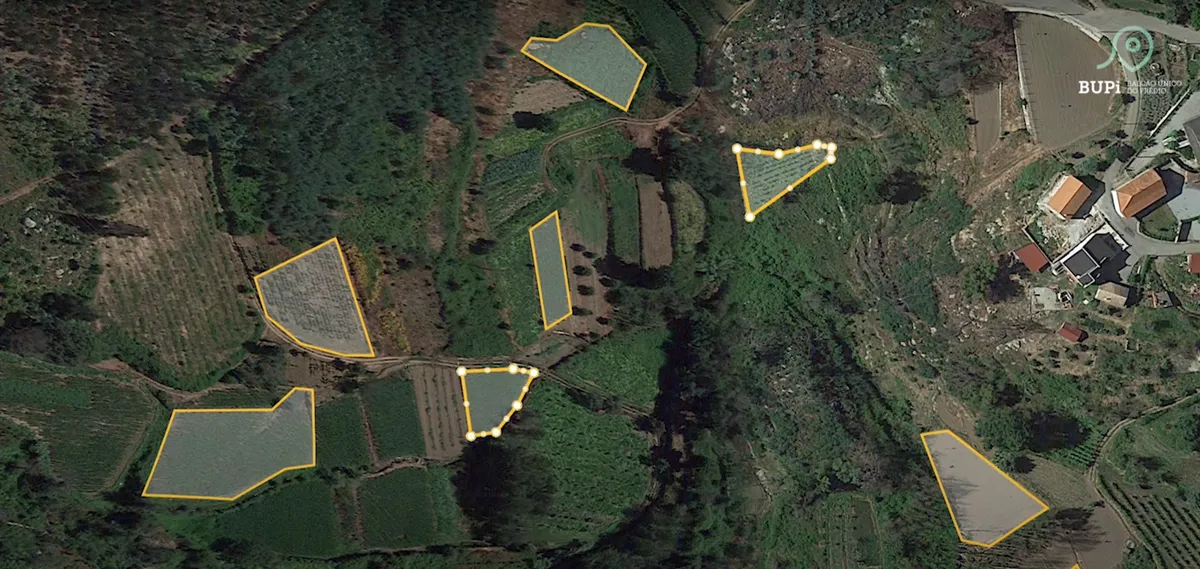Miranda do Douro e Alfândega da Fé entre os municípios com mais propriedades identificadas no BUPi