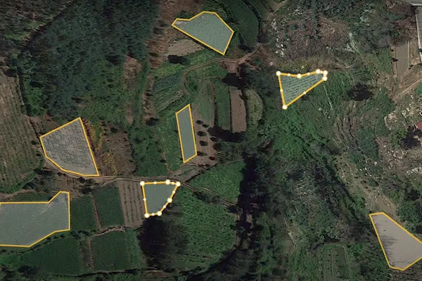 Miranda do Douro e Alfândega da Fé entre os municípios com mais propriedades identificadas no BUPi