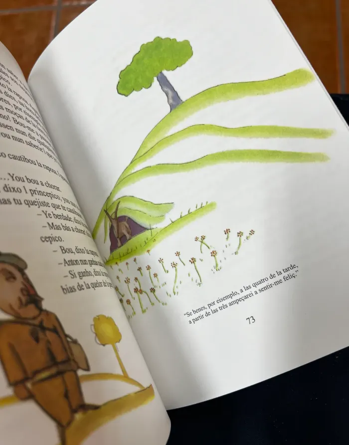 Mirandês chega às escolas, à Constituição e à obra de Valter Hugo Mãe