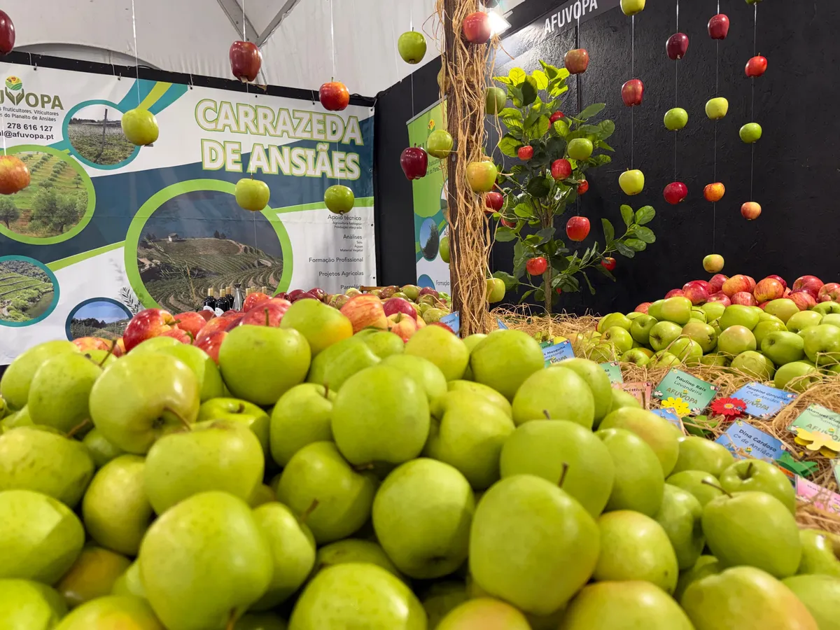 Feira da Maçã, do Vinho e do Azeite afirmou a força da agricultura de Carrazeda de Ansiães