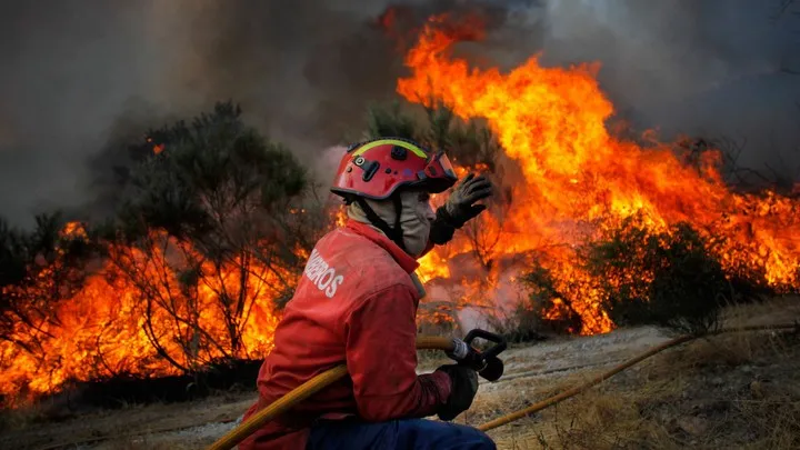 Incêndio em Deilão consome mato e pinho adulto