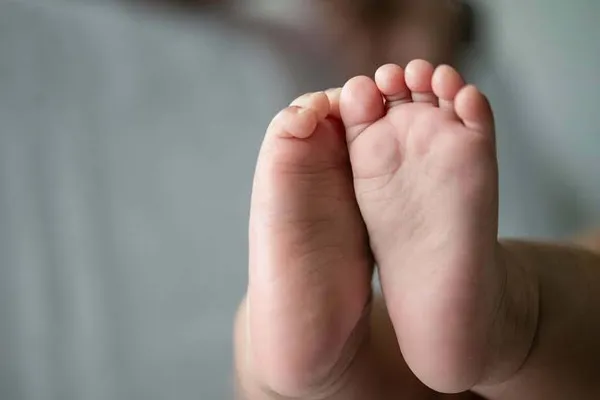 Bragança continua a ser o distrito onde nascem menos bebés 