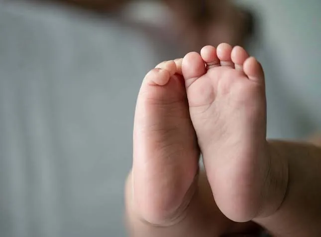 Bragança continua a ser o distrito onde nascem menos bebés 