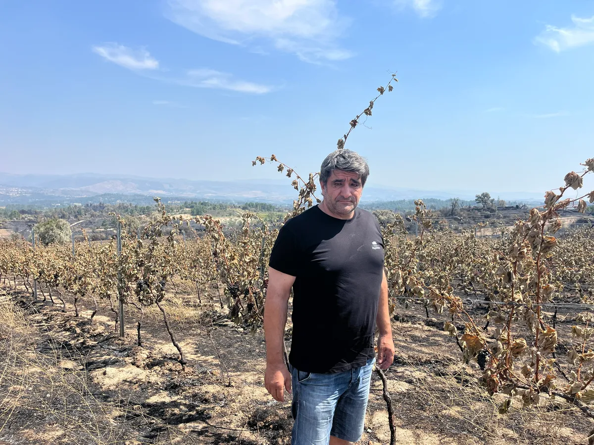 Incêndio deixou agricultores em desespero 