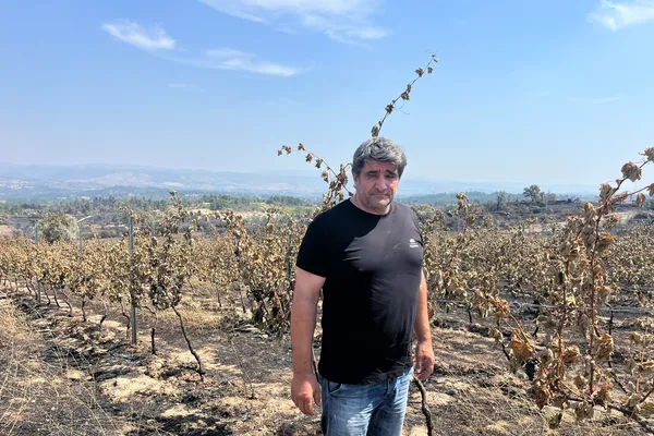Incêndio deixou agricultores em desespero 