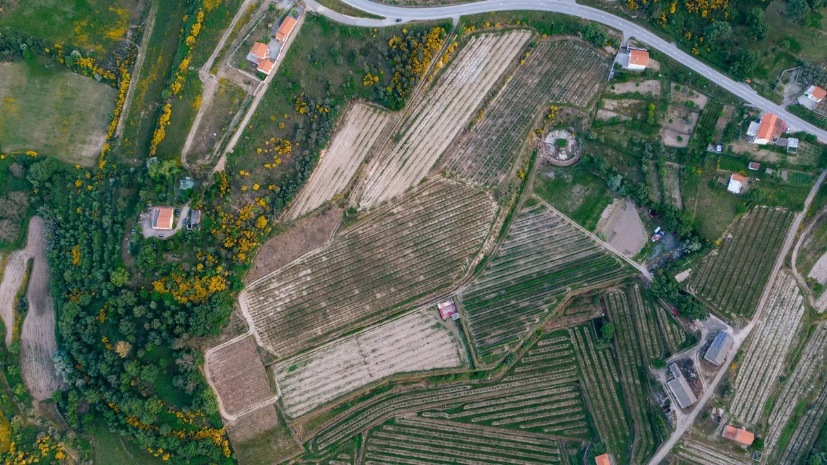 Autarca de Vinhais reforça importância da identificação de terrenos para prevenir incêndios