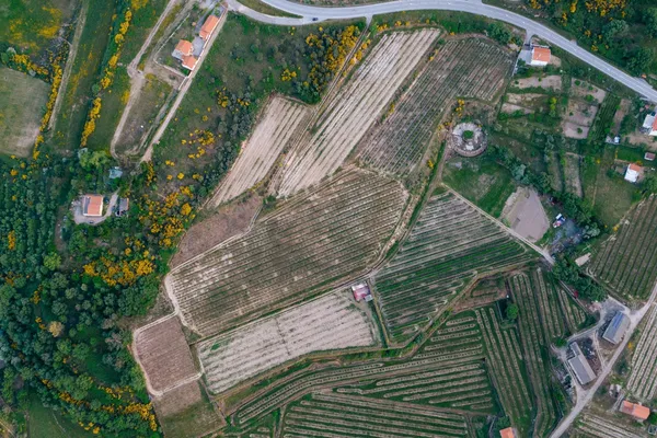 Autarca de Vinhais reforça importância da identificação de terrenos para prevenir incêndios