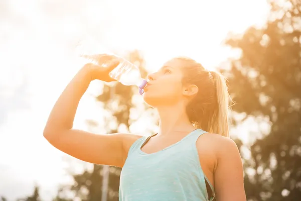 Calor coloca Bragança e Vila Real sob aviso amarelo