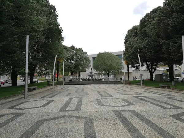 Câmara de Bragança justifica abate de árvore por doença e garante replantação da mesma espécie