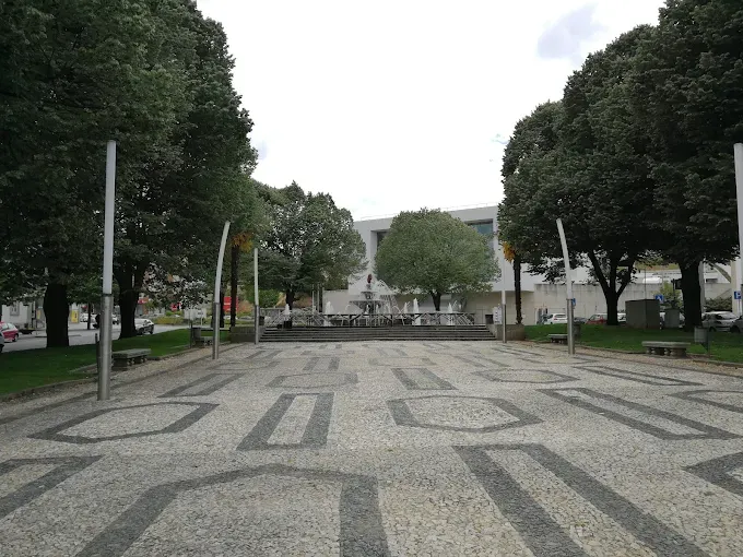 Câmara de Bragança justifica abate de árvore por doença e garante replantação da mesma espécie