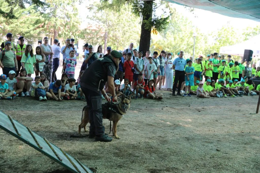Segurança, aprendizagem e diversão marcaram o Open Day da GNR em Bragança