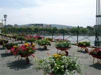 MIRANDELA inaugura variante