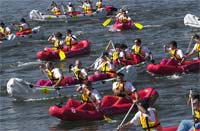 De Alfândega da Fé para o mundo