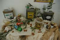 VILA FLOR aposta nas marcas