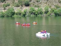 Gaivotas na albufeira de Miranda