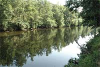 QUINTANILHA reivindica acesso ao rio