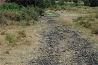 ANGUEIRA quer armazenar água