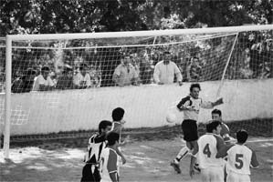 Mirandela deixou fugir o pássaro da mão