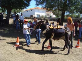 MIRANDA recebe centro terapêutico
