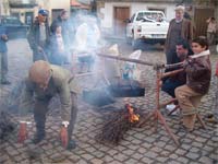 CASTANHA é rainha em Mogadouro