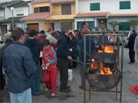 Santa Maria organiza magusto