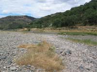 Comerciantes de Moncorvo defendem barragem