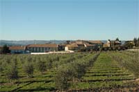 Azeite da Bouça no mercado mundial