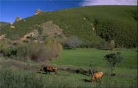 Autarcas unidos pela DRATM