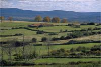 Faltam vigilantes nos parques