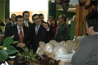 Vinhais reclama acessibilidades