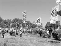 Tecnologia ao serviço da agricultura