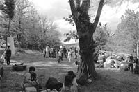 Parque do Rio de Onor recebe crianças