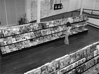 Livros reinam em Mogadouro