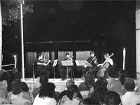 Espectáculo único em Miranda