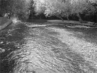 De mie casa a Alcanhiças